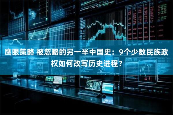 鹰眼策略 被忽略的另一半中国史：9个少数民族政权如何改写历史进程？