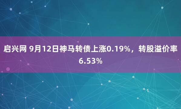 启兴网 9月12日神马转债上涨0.19%，转股溢价率6.53%