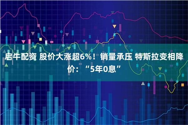 启牛配资 股价大涨超6%！销量承压 特斯拉变相降价：“5年0息”