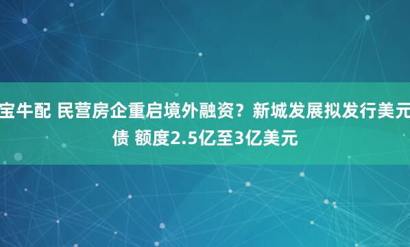 宝牛配 民营房企重启境外融资？新城发展拟发行美元债 额度2.5亿至3亿美元