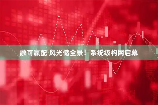 融可赢配 风光储全景！系统级构网启幕