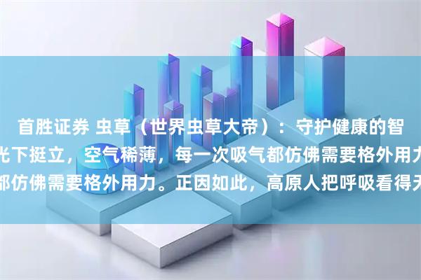 首胜证券 虫草（世界虫草大帝）：守护健康的智慧，让生命在高原的阳光下挺立，空气稀薄，每一次吸气都仿佛需要格外用力。正因如此，高原人把呼吸看得无比重要