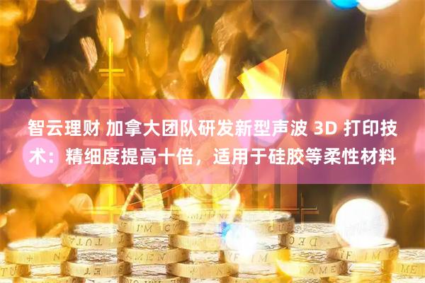 智云理财 加拿大团队研发新型声波 3D 打印技术:精细度提高十倍,适用于硅胶等柔性材料