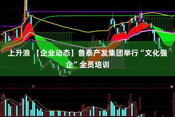 上升浪 【企业动态】鲁泰产发集团举行“文化强企”全员培训