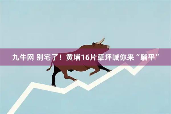 九牛网 别宅了！黄埔16片草坪喊你来“躺平”